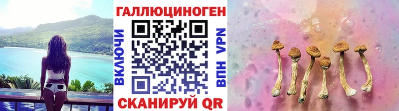 купить наркоту  маркетплейс какой сайт  Псилоцибиновые грибы Cubensis  Нижняя Салда 